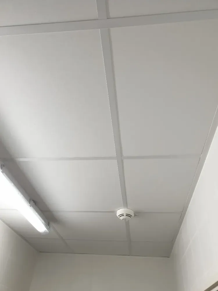 20191009_091513